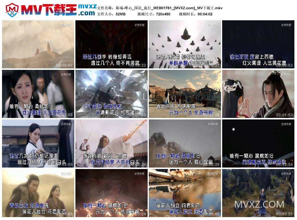 陈瑞-唯心_国语_流行_MEB01781